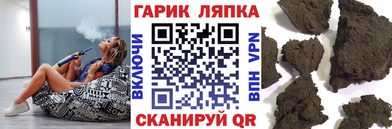 ГАШ Premium Заозёрный