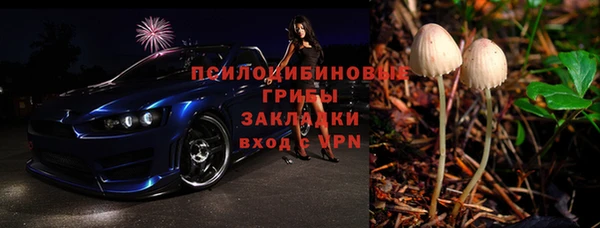 соль ск Алзамай