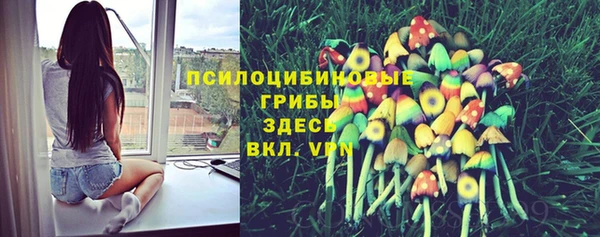 мяу мяу кристалл Алексин