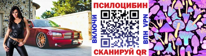 Псилоцибиновые грибы мухоморы  как найти закладки  Заозёрный 